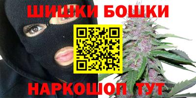стаф Будённовск