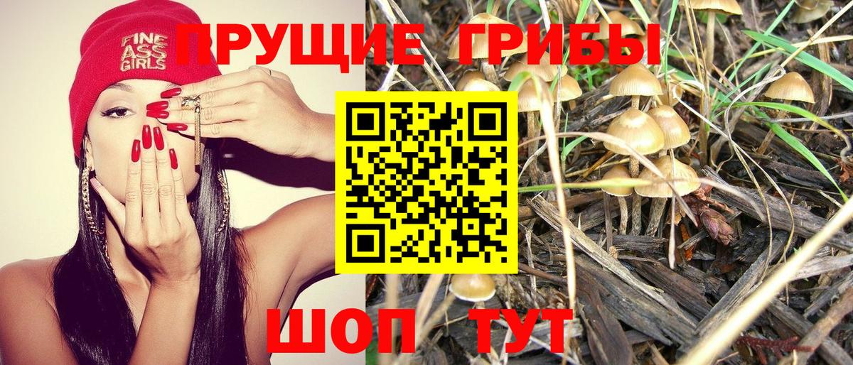 Галлюциногенные грибы MAGIC MUSHROOMS Валуйки